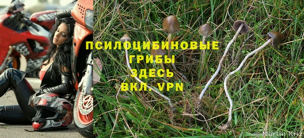 ECSTASY Беломорск